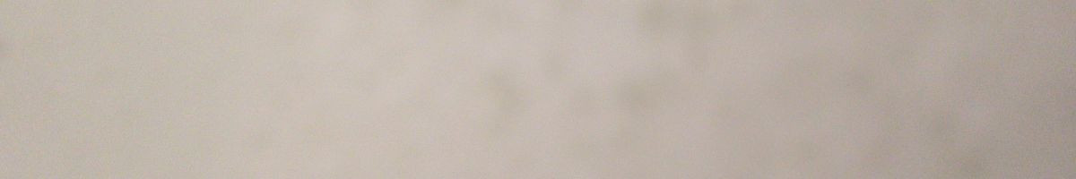 113147021811900179664 