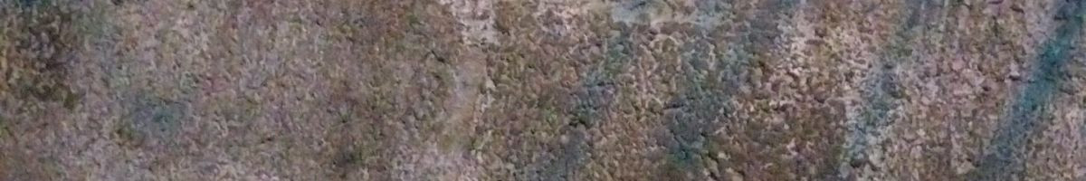 103565311139013999864 