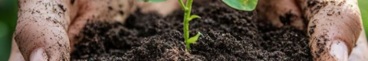 Mishra_Farming