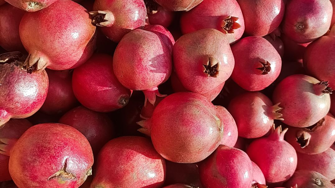 VID_20260126_032750_959