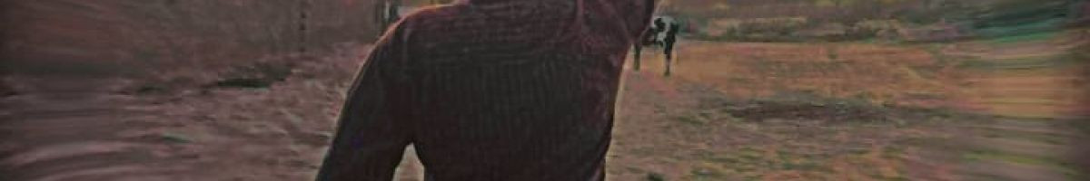 104353660222259635931 