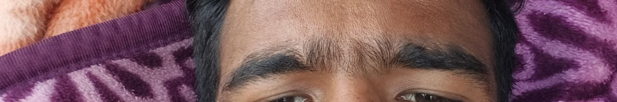 108141265604419394263 