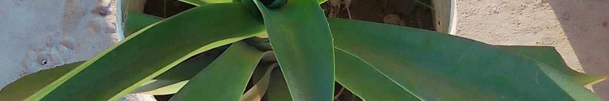 102402290132809038711 