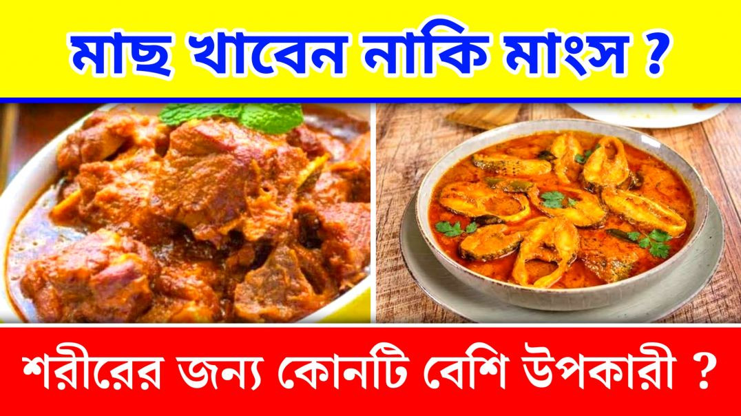 ⁣মাছ খাওয়ার গুণাগুণ | Fish Or Chicken