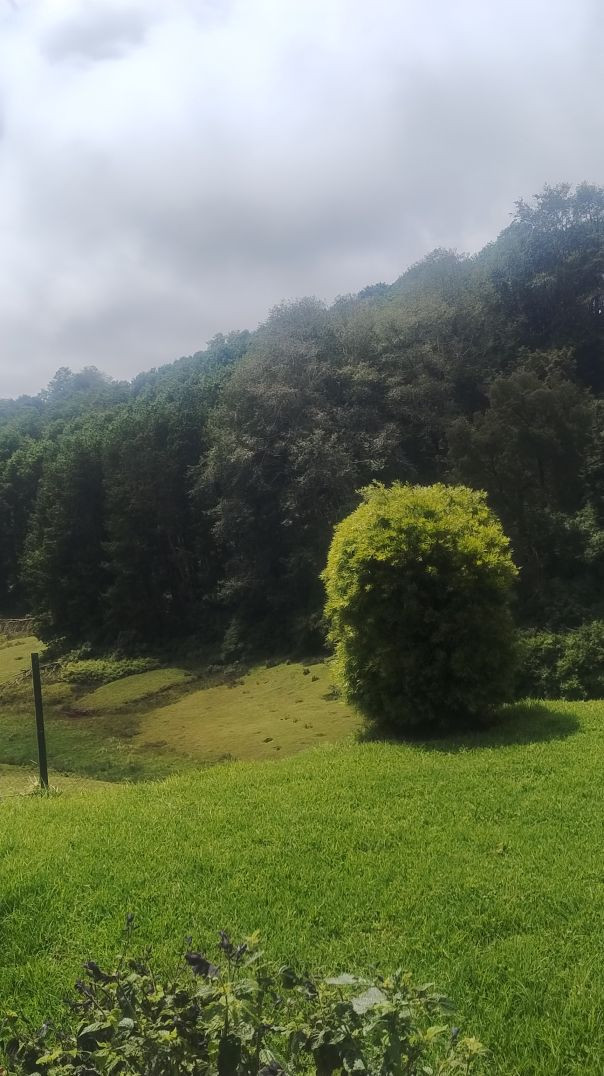 Facebook_1770096323835_2K_1440p_