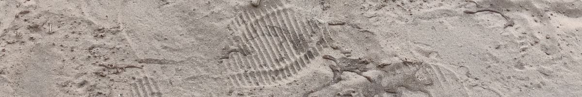 117079601669106506256 