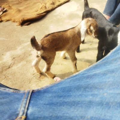 118108906931430019779 