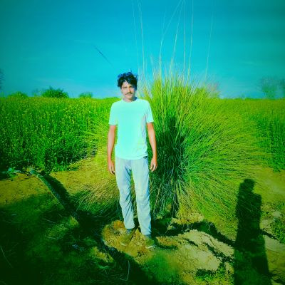 116457346771132770500 