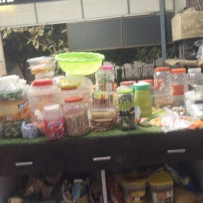 115167488453760508528 