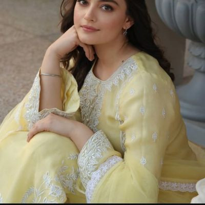 Ellenabad_embroidery_hub