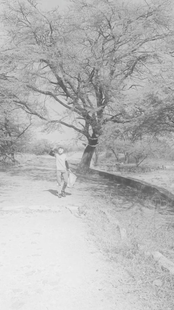 पहाड़ की चोटी पर रखा है दाना प्यार का 🐦🌿 इन बेज़ुबानों के लिए छोटा सा सहारा संसार का