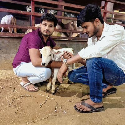 102698597847111658107 