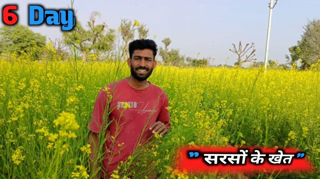 ⁣सरसों के लहराते खेत और गाँव का सुकून!  _ Day 6 Daily Vlog
