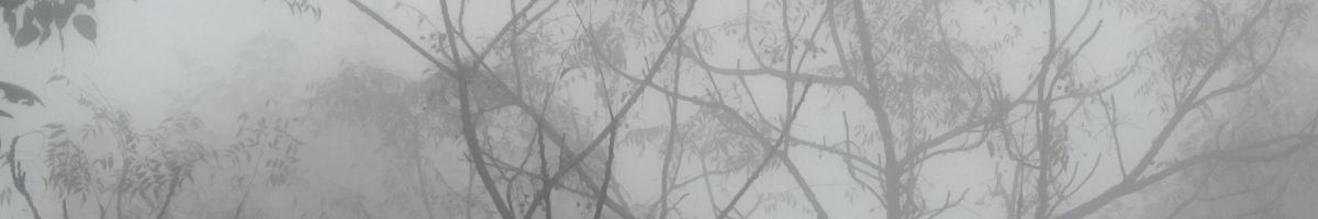 V_M007