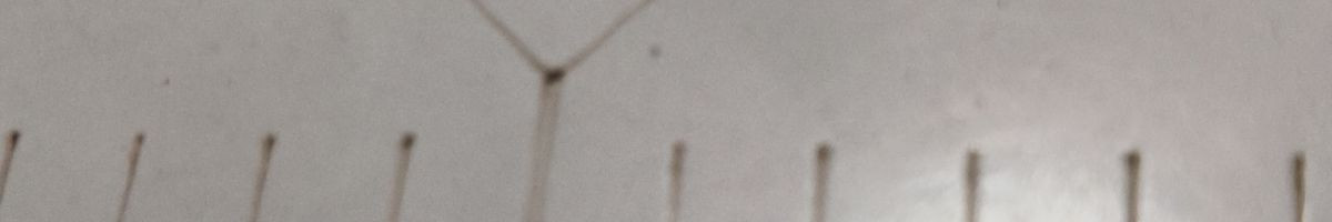 109533125059781980711 