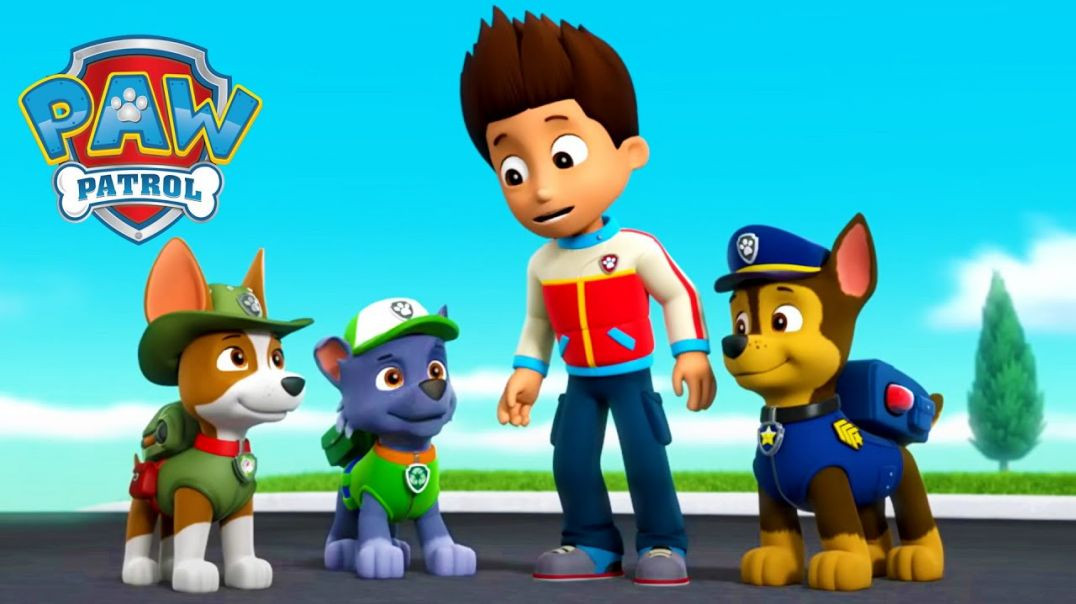 ⁣Paw petrol cartoon video