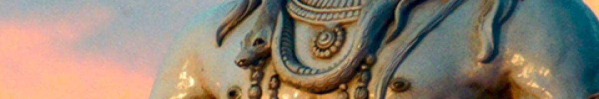 116669963080143152707 