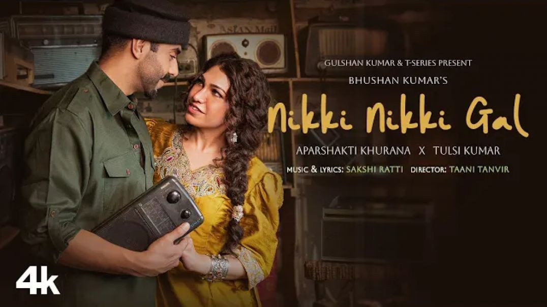 ⁣Nikki Nikki Gal ( Music video) |Lofy song