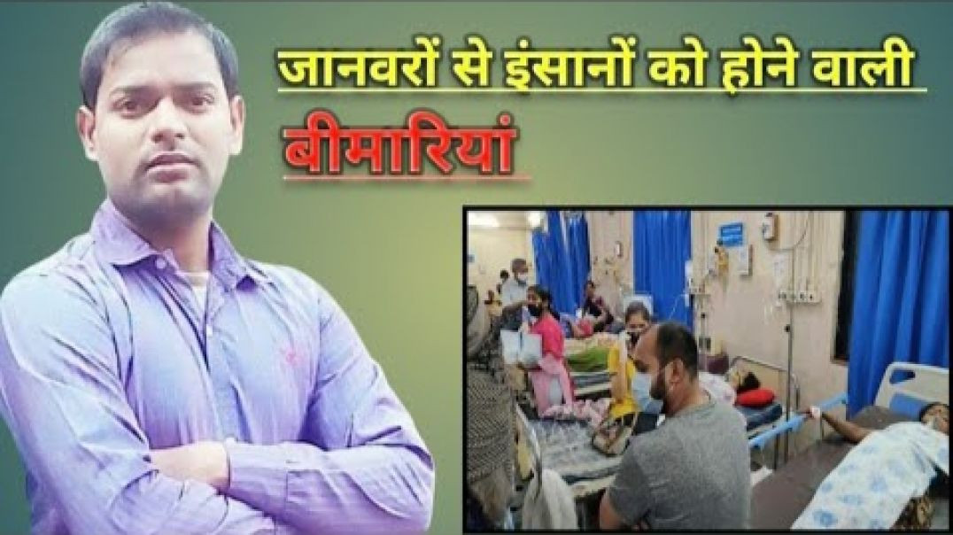 ⁣जानवरों से इंसानों में होने वाली बीमारियां ।(720P_HD)