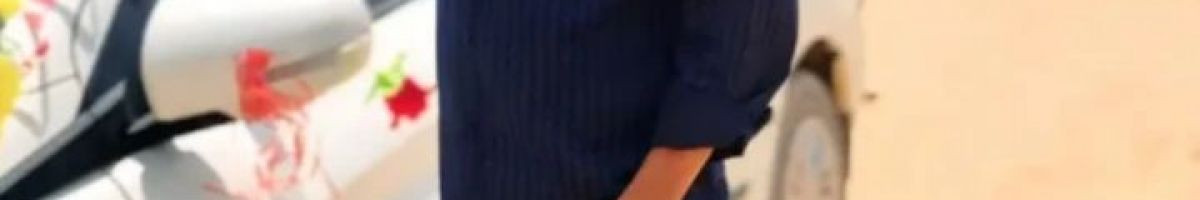 114529352723058116290 