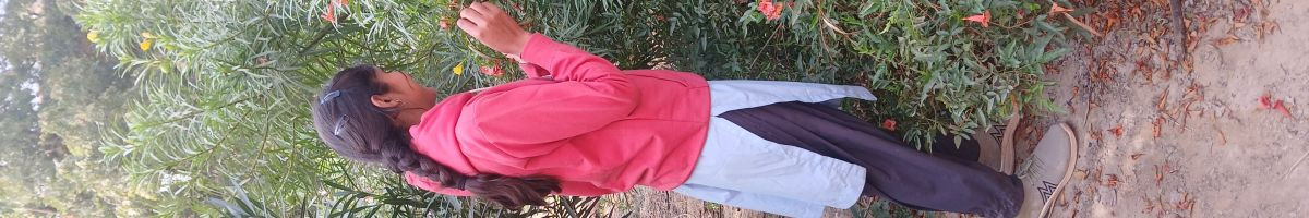 MS_ARMY_.08 MS_ARMY_.08