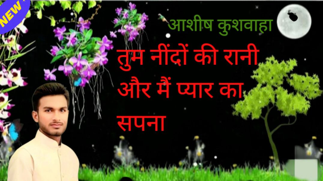 ⁣तू नींदों की रानी और मैं प्यार का सपना