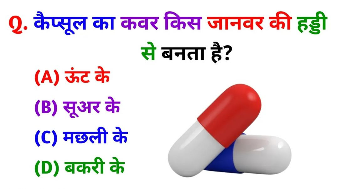 ⁣GK Question || GK In Hindi || GK Question and Answer || GK Quiz || Riya Rawani|| 7