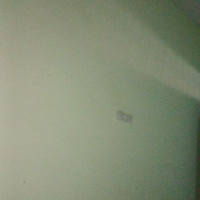 112551269772884515729 