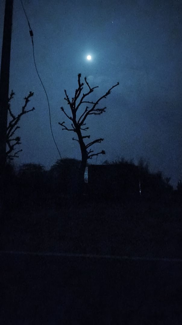 #trending #clipo#viral#clipo #video😘