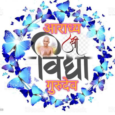 आराध्यश्री विद्यागुरुदेव