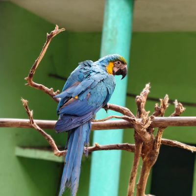 104274695765050477879 