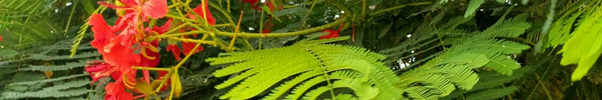 116853130193635479241 