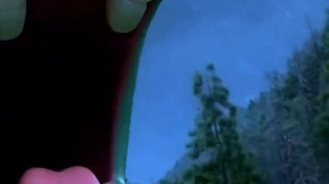 VID_20260206_023923_045