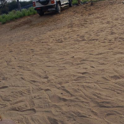 109596643194397655826 