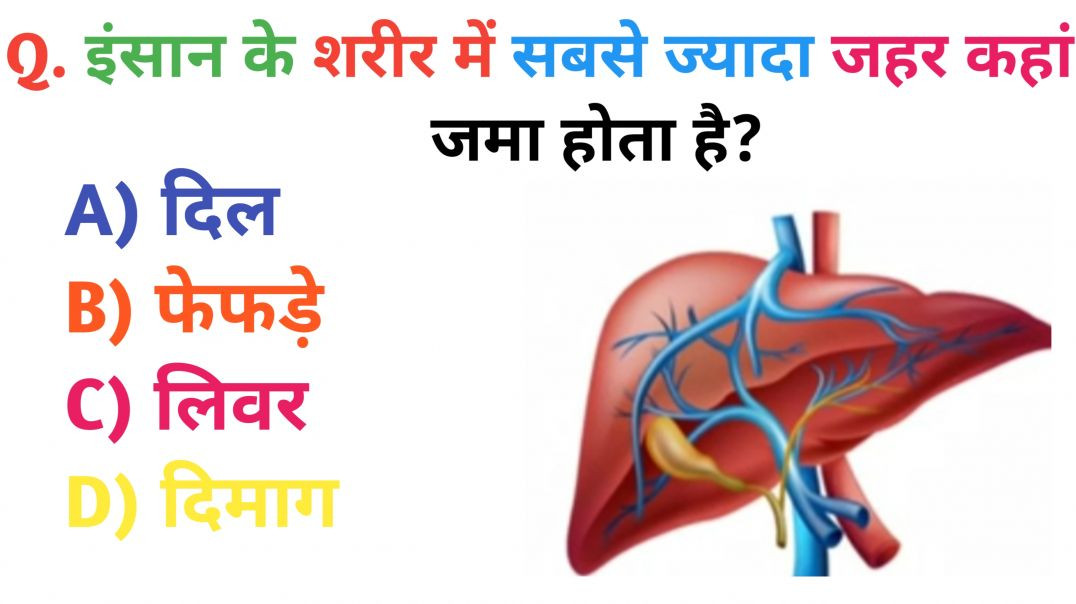 ⁣GK Question || GK In Hindi || GK Question and Answer || GK Quiz || Riya Rawani|| 11