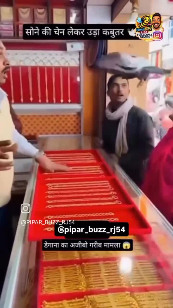 VID_20260206_232252_987