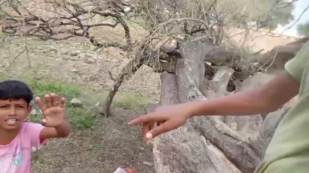 ⁣_आदर्श विद्या स्कूल में बच्चों की मस्ती_automobile(720P_HD)