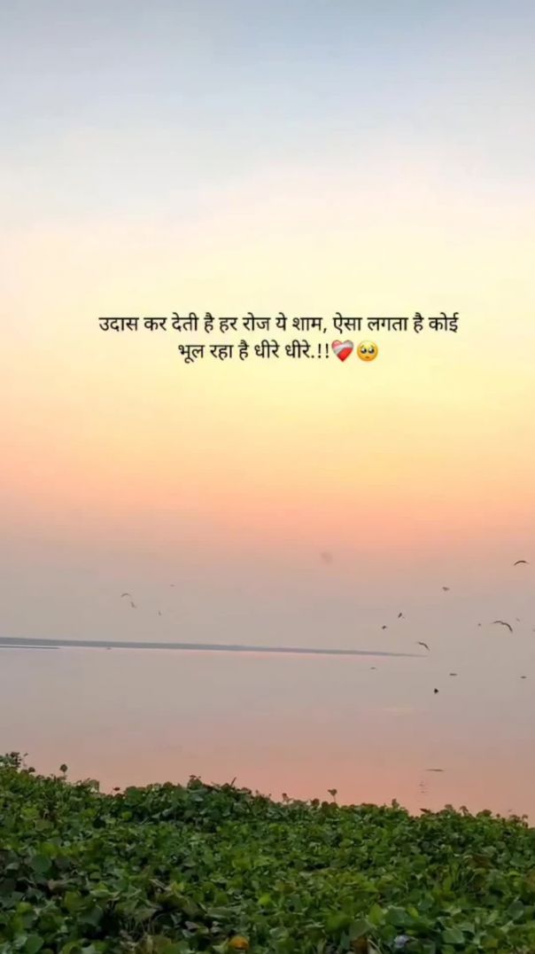Sadshayari