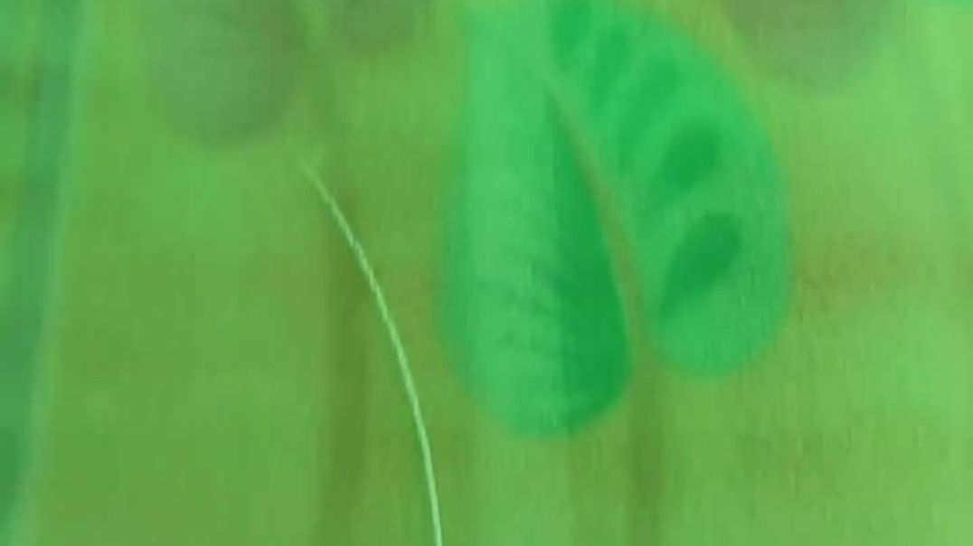 #hindisong #love #slowedandreverb​ (1)