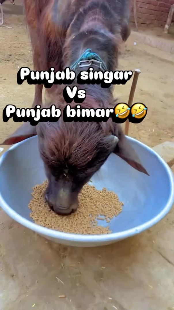 AQNjxCRDDBKzDndlfBR4kR7ZE-oMfn76oWDfE5_RWICnADsUAmroXumrfgszWDewQ5nETjrRiLQn9_XoJ0TfaLDszvIam7-UmbEH