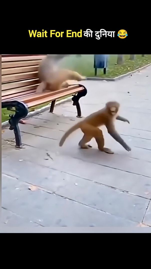 जानवरों_के_Gajab_कारनामें_😂_wait_for_twist_🤣_#funny_#animals_#shorts(1080p)