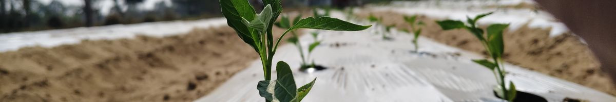 motivationalreels001