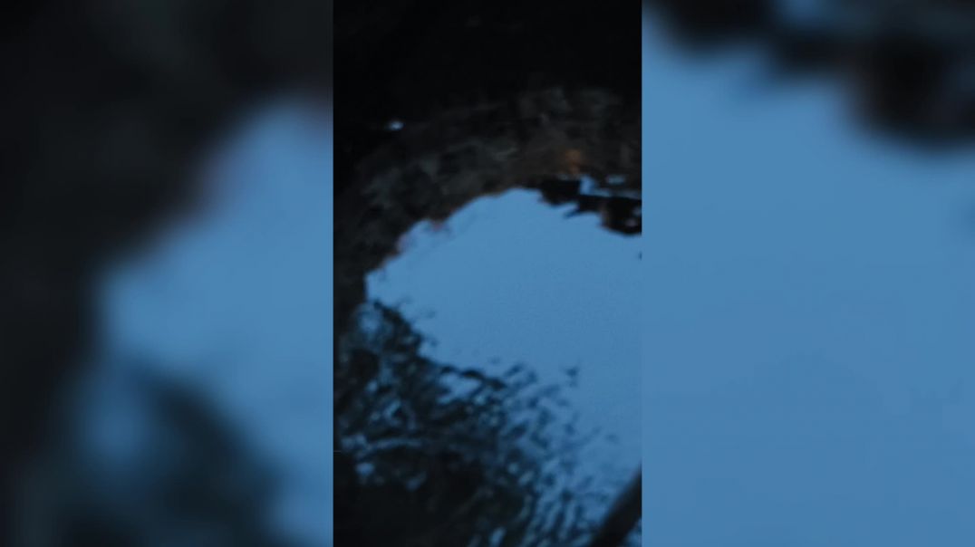 video_20260217_171659_edit