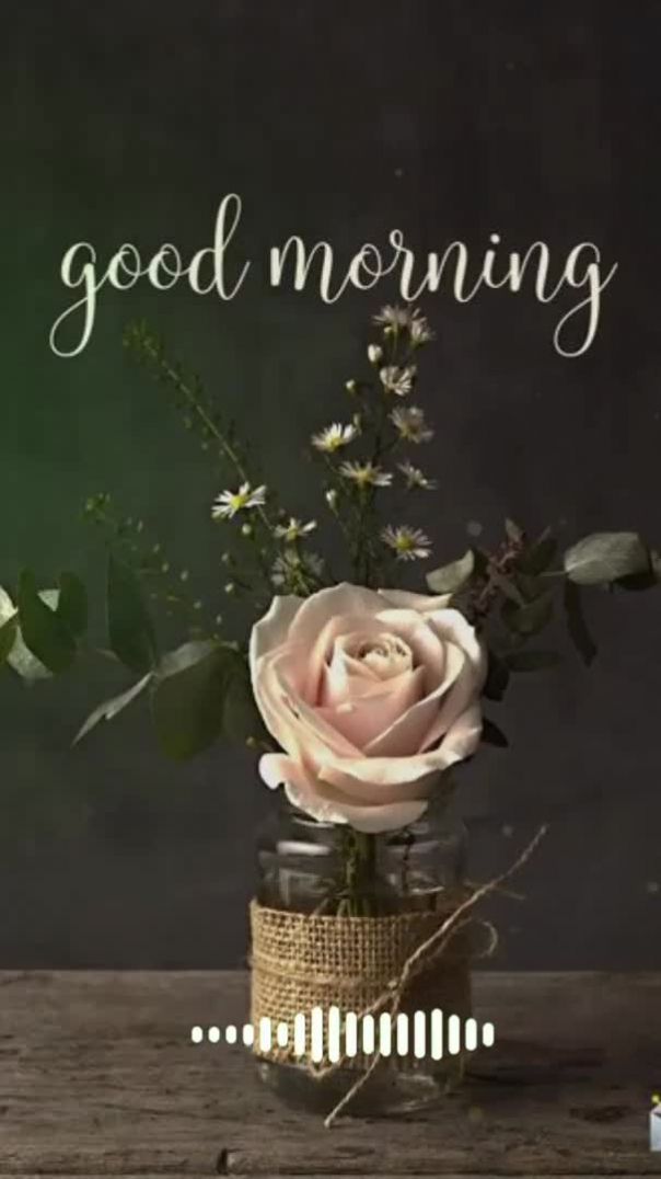 Good morning 🌄🌞🎶💕