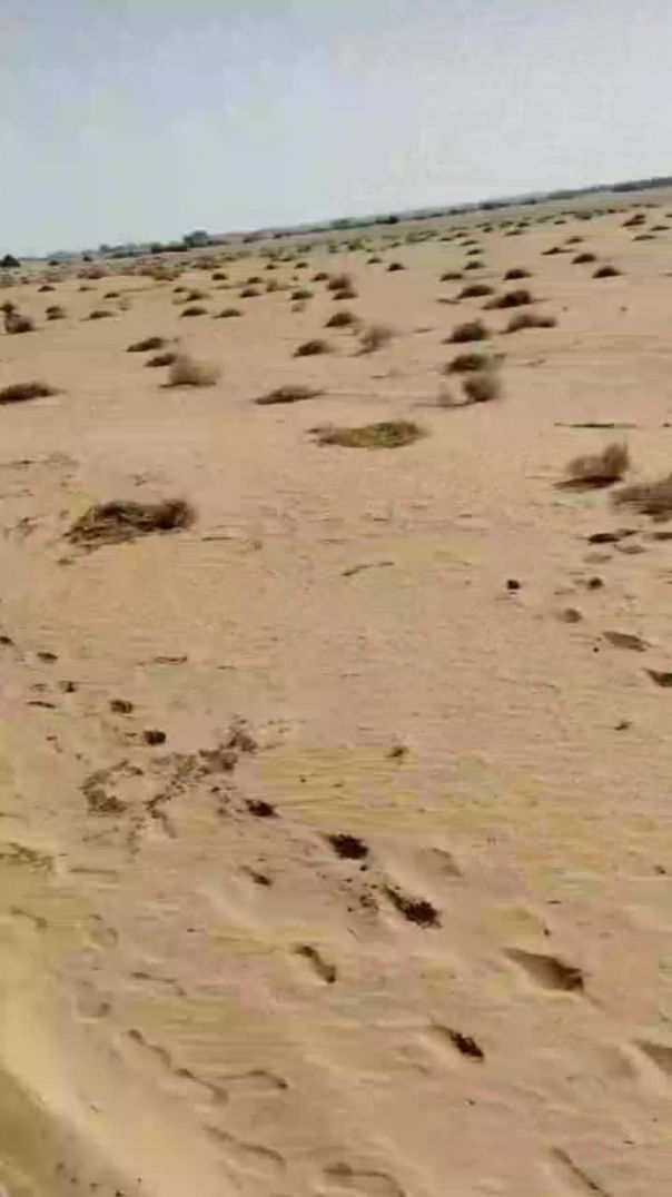 VID_20260131_182228_516