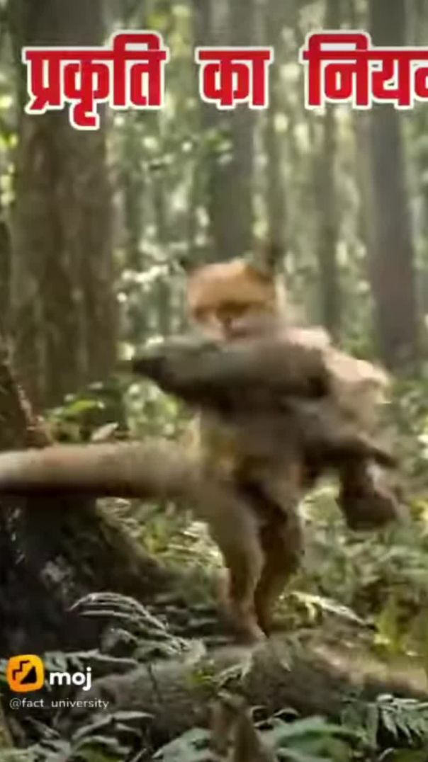 Jaisi krni vaisi bharni