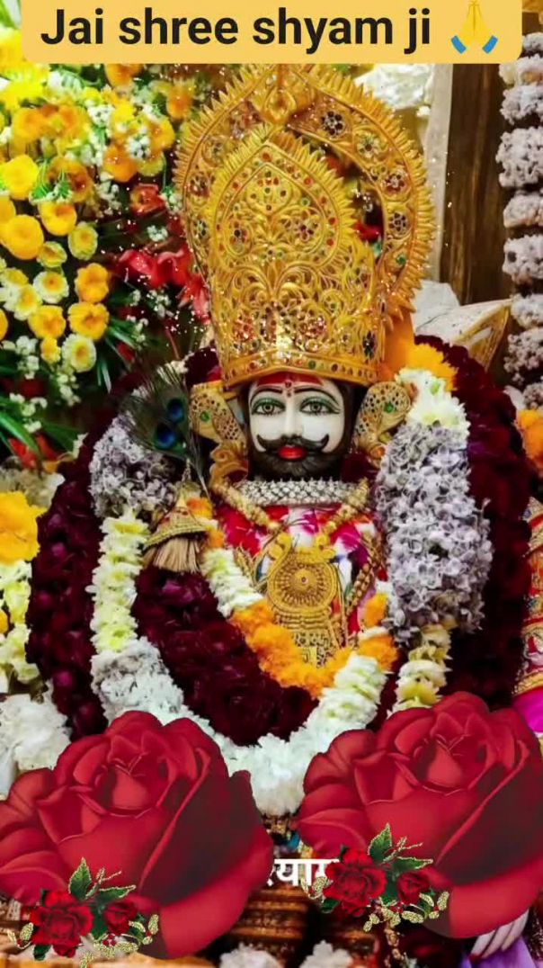 - जय श्री श्याम प्रभु 🙏🌹💫❤️❤️🚩 _ _