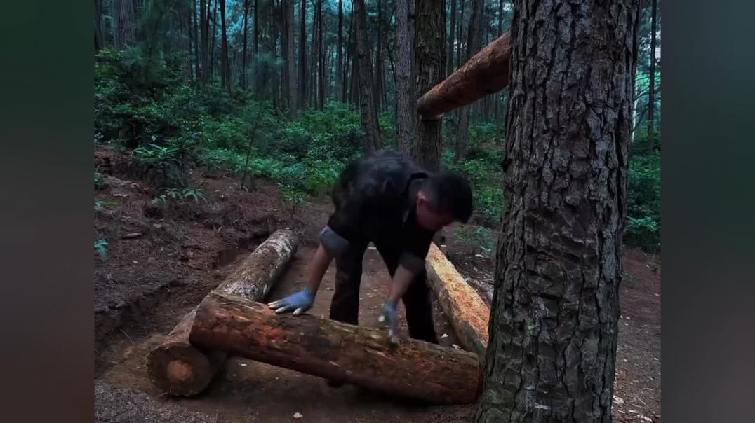 ⁣जंगल में घर