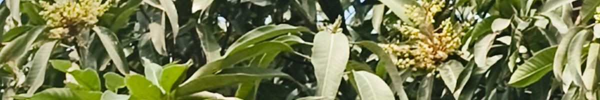 kavitaGaruwa