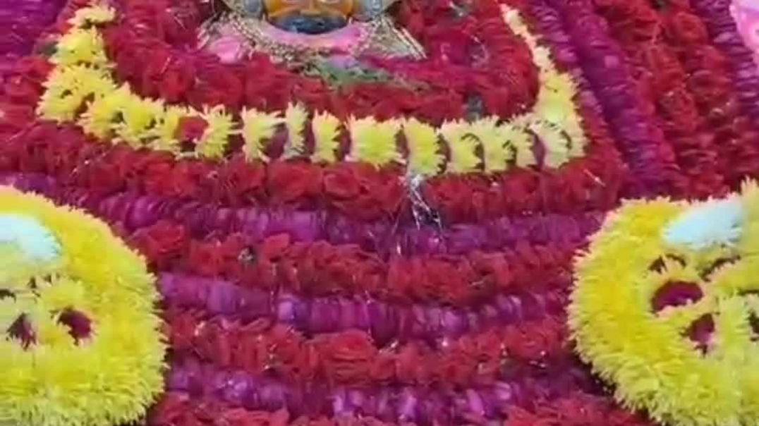 ⁣Mor chadi lahari ri rsiya